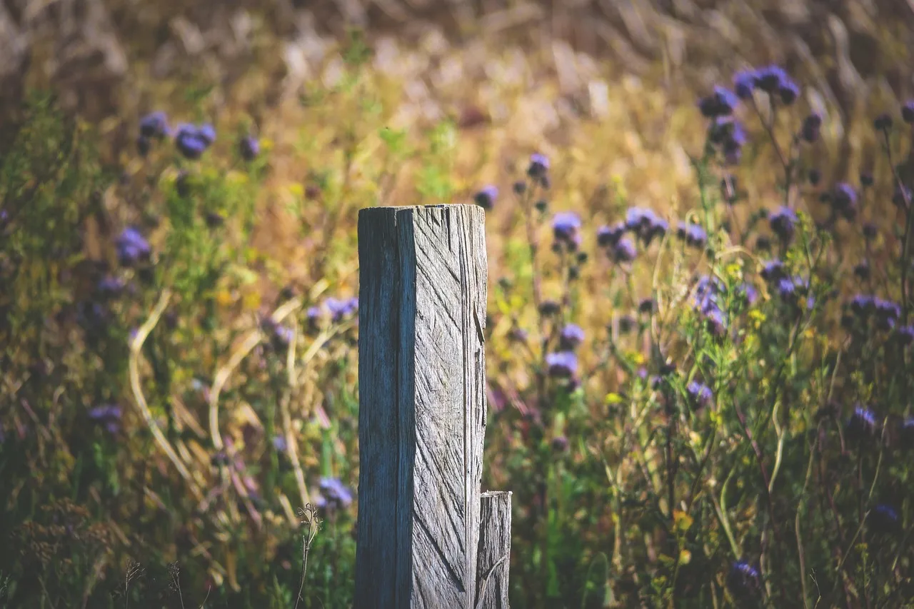 fence post, wooden posts, fence, wooden pole, wood, stake, post, wooden fence, delimitation, limitation, meadow, flower meadow. Canadian Fence Contractor Lien Rights: What Ontario's Construction Act Says