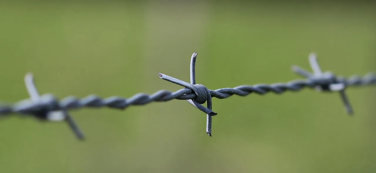 barbed wire, pasture fence, fence, delimitation, wire, pasture, barrier, metal, green, meadow, barbed wire fence, barbed wire, barbed wire, barbed wire, barbed wire, barbed wire, fence, fence, fence, fence, wire, barrier. Is a CCDC 2 contract the right fit for Canadian fence quotations?