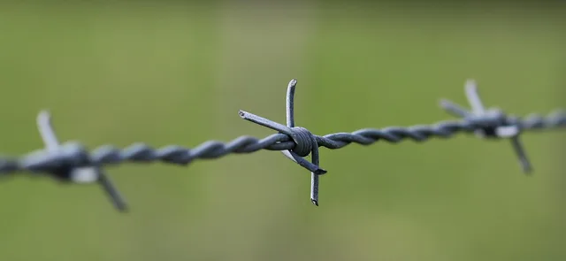 barbed wire, pasture fence, fence, delimitation, wire, pasture, barrier, metal, green, meadow, barbed wire fence, barbed wire, barbed wire, barbed wire, barbed wire, barbed wire, fence, fence, fence, fence, wire, barrier. Is a CCDC 2 contract the right fit for Canadian fence quotations?