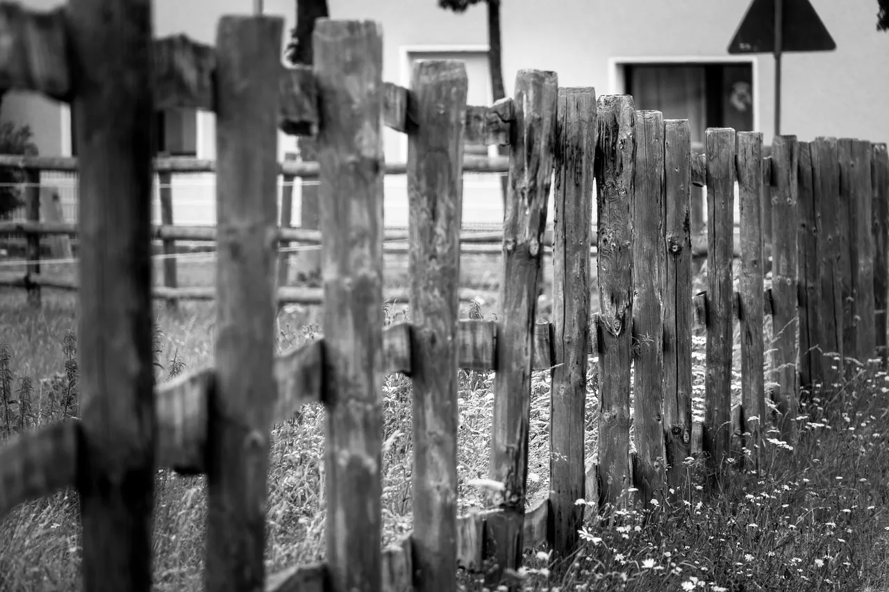 fence, pasture fence, wooden fence, limitation, border, pasture, delimitation, meadow, post, stake, fence post, wooden pole, wood, nature, wooden posts, weathered, agriculture, cattle fence, grass. Commercial and Residential Fence Contracting: Bids, Bonds, and Cash Flow