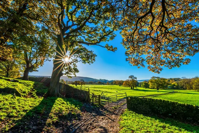 trees, farm, fence, farmland, stone fence, pastures, nature, sunlight, grass, grasslands, fields, meadows, yorkshire, autumn, sunshine, morning, landscape, farm gate, farm track, light, agriculture, stone wall, rustic. Review a fence contractor business plan before it goes out