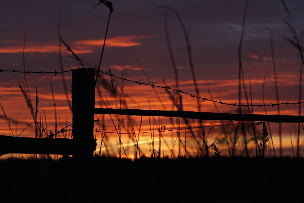 sunset, barbed wire fence, nature, meadow, barbed wire, pasture fence, fence, delimitation, barrier, stake, post, wooden posts, landscape, limitation, eve, fence post, pasture. Straight talk on fence contractor complaint handling