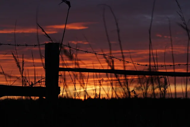 sunset, barbed wire fence, nature, meadow, barbed wire, pasture fence, fence, delimitation, barrier, stake, post, wooden posts, landscape, limitation, eve, fence post, pasture. Straight talk on fence contractor complaint handling