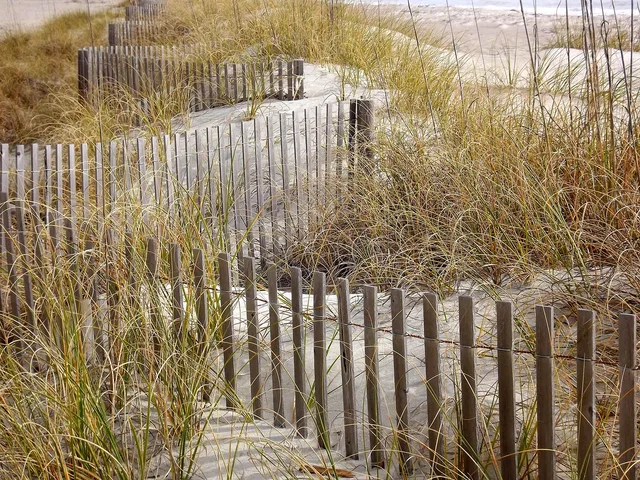 grasses, nature, fence, beach, sand, sand fence, sandbreak, wooden fence, barrier. Fence contractor insurance: coverage explained and priced
