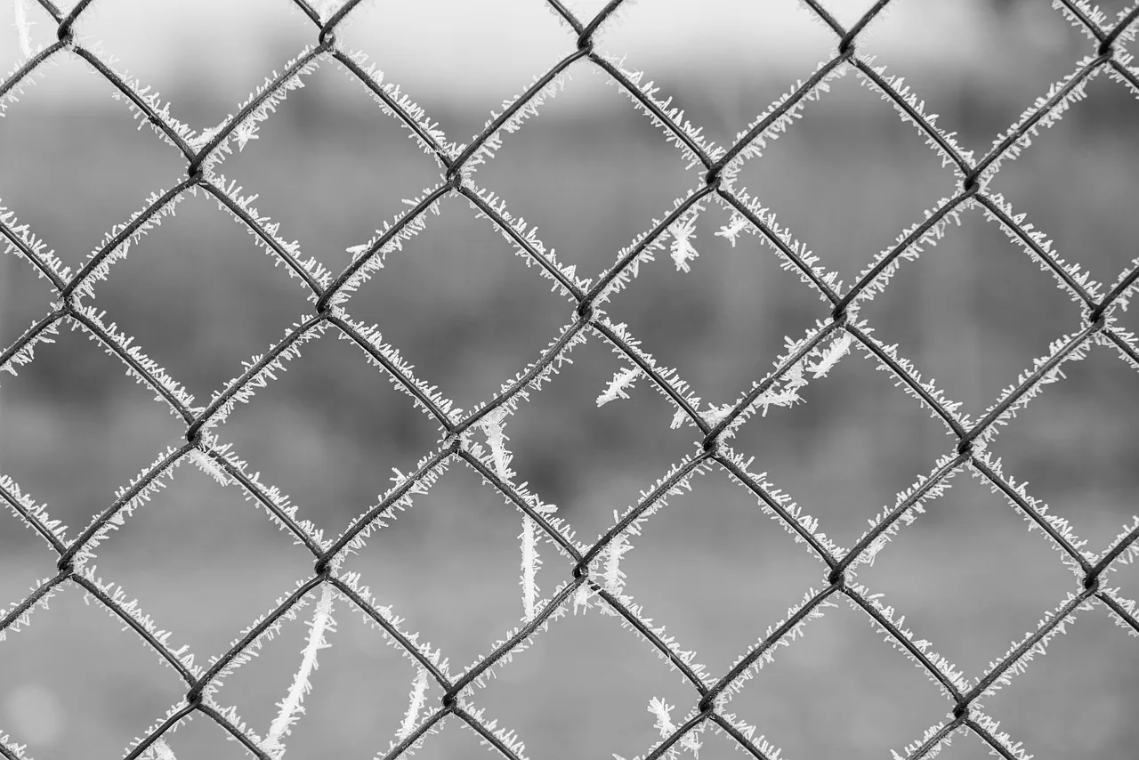 fence, bars, cold, winter, ice, grid, pattern, monochrome, frost, pattern, pattern, pattern, pattern, pattern. Reading a bad month: fence contractor KPIs by symptom