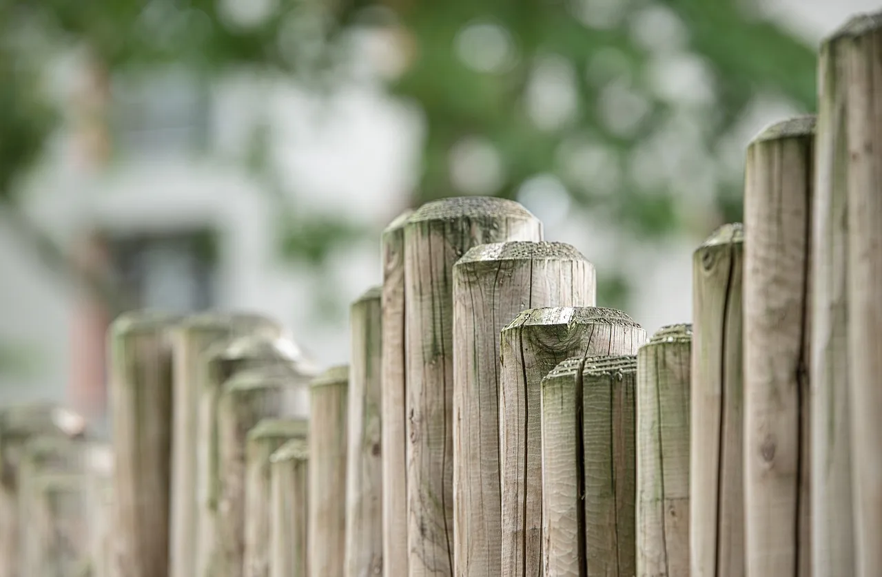 fence, wooden fence, nature, wood, limitation, delimitation, boards, paling, garden fence, garden, border, palisades, board wall, protection, plot, board. Wages and labour costs for a fence contractor business