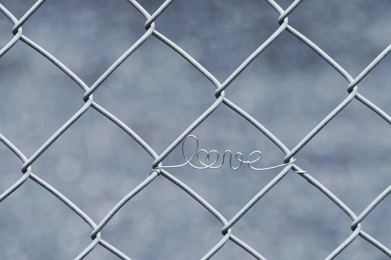 love, wire, fence, in love, heart, locked in, wire mesh, grid, metal, closed, love, love, love, love, love, fence, heart. Fence contractor software: the six records and monthly measures that matter