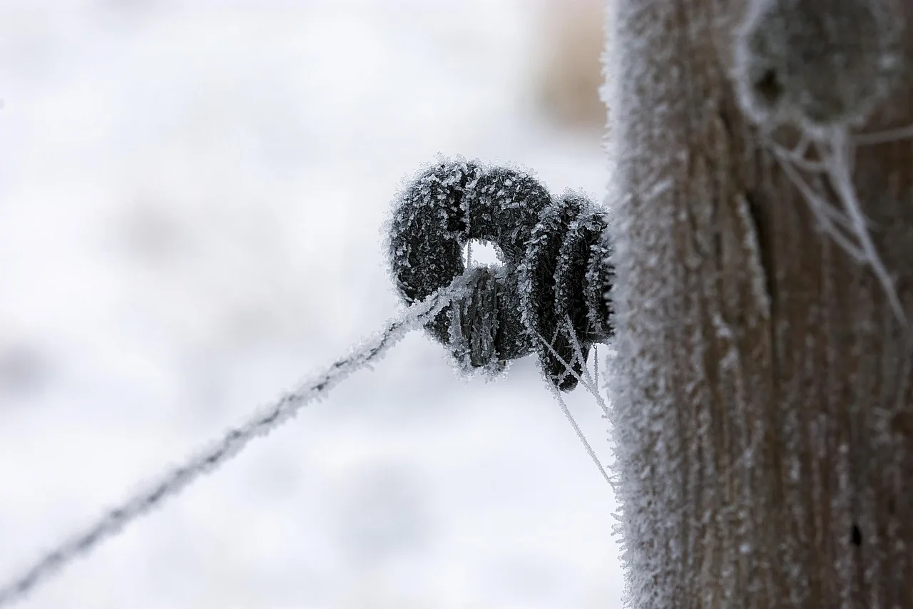 pasture fence, post, stake, frozen, wintry, close up, wire. Fence Contractor Winter Installation: Dealing with Frost and Frozen Ground