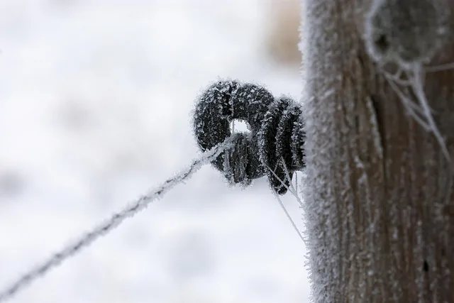 pasture fence, post, stake, frozen, wintry, close up, wire. Fence Contractor Winter Installation: Dealing with Frost and Frozen Ground