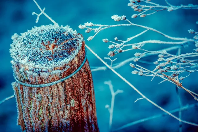 post, hoarfrost, snow crystals, icy, crystals, ice crystals, fence, protective fence, frost, ice cream, cold, winter, winter magic, wintry, nature, post, post, icy, ice crystals, ice crystals, frost, frost, ice cream, ice cream, winter, winter, winter, winter, winter, nature. Frost-depth post footings for fence quotes in Calgary, Winnipeg and Saskatoon