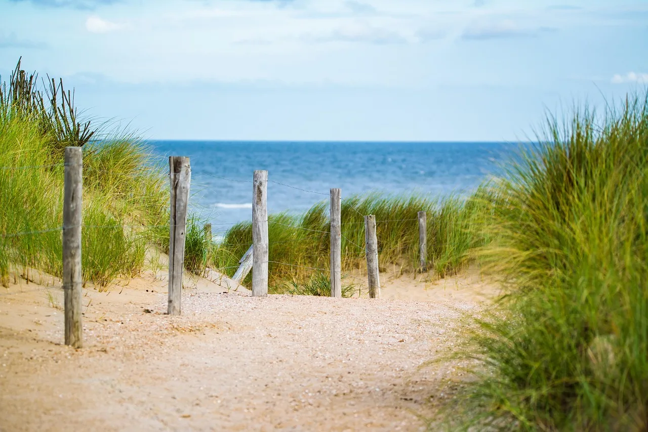 thin, sea, fence, water, vacation, north sea, path, nature, sand, beach, landscape, travel. Fence contractor business operations: GST, HST, PST and QST