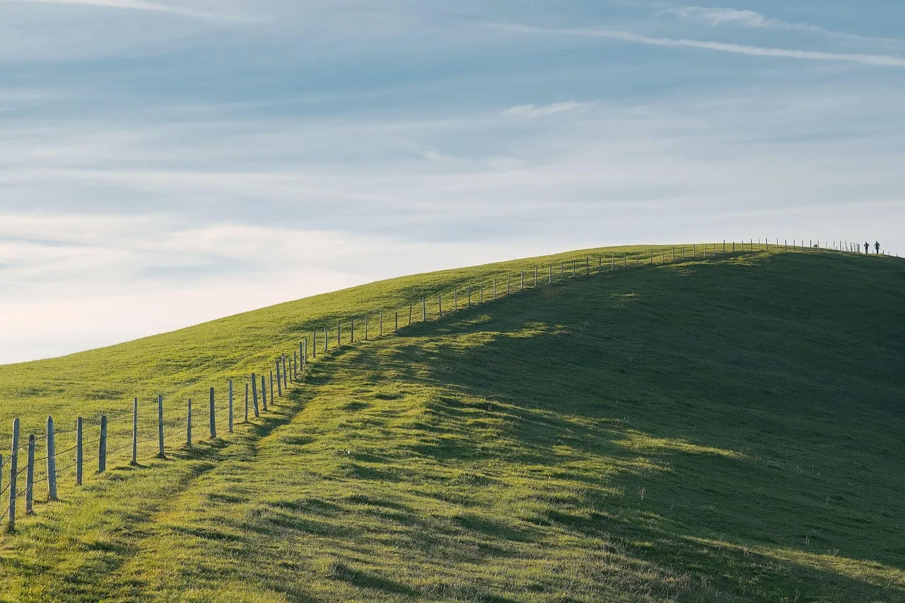 nature, landscape, meadow, fence, pasture fence, fall, autumnal, trail. Fence Contractor Change Order Pricing: Steps and Markup