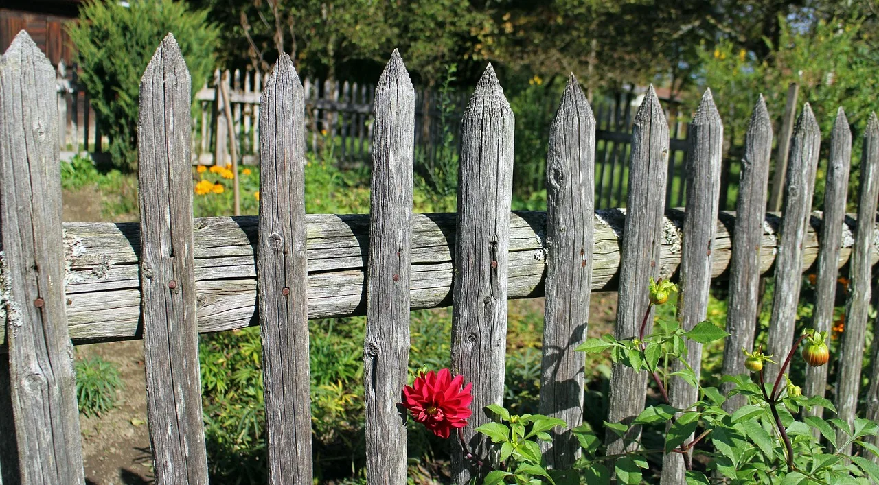 garden fence, wooden fence, paling, fence, wood, delimitation, limitation, nature, protection, protect, garden. Charging properly for fence contractor services