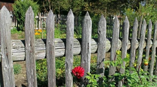 garden fence, wooden fence, paling, fence, wood, delimitation, limitation, nature, protection, protect, garden. Charging properly for fence contractor services
