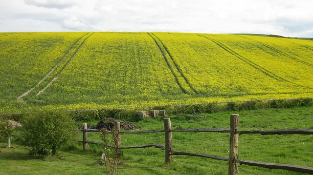 agriculture, field, farm, landscape, nature, hill, horizon, sussex, wooden fence, boundary, summer, boundary, boundary, boundary, boundary, boundary. Start a fence contractor business: which decisions to make slowly