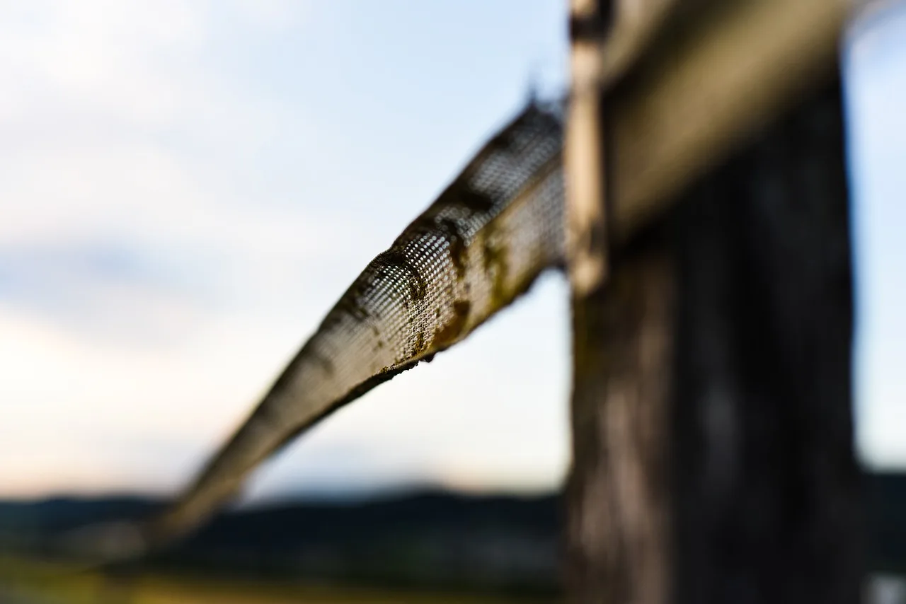 fence, enclosure, barrier, nature, old, boundary, electricity, sunset, summer. Fence contractor estimate visits: what makes customers choose you