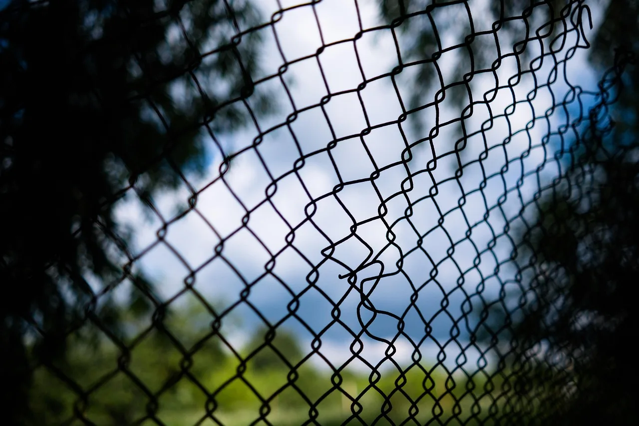 fence, wire, chain, metal, mesh, net, chain link, security, barrier, pattern, grid, steel, protection, cage, chain link fence. Profitable fence contractor services worth offering