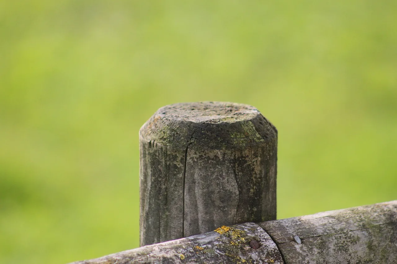 wood, post, fence, wooden posts, stake, old, weathered, wooden pole, fence post, delimitation, limitation, wooden fence, pasture, fastening. New versus used fence contractor gear: costs, risks and resale
