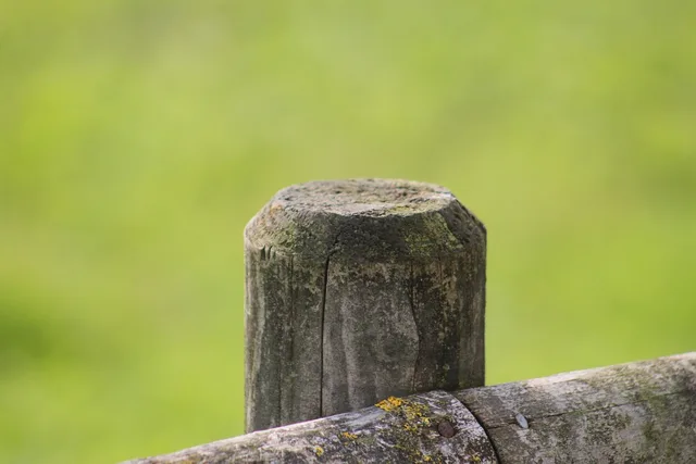 wood, post, fence, wooden posts, stake, old, weathered, wooden pole, fence post, delimitation, limitation, wooden fence, pasture, fastening. New versus used fence contractor gear: costs, risks and resale