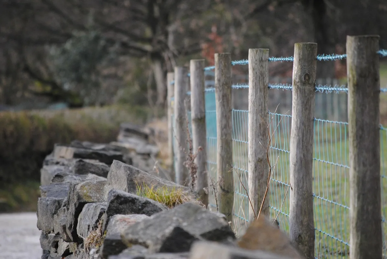 fence, wall, wire, wood, texture, timber, material, wooden, structure, construction, frame, panel, natural, exterior, gray construction, gray frame. How Vancouver fence contractors quote cedar and composite in a wet climate