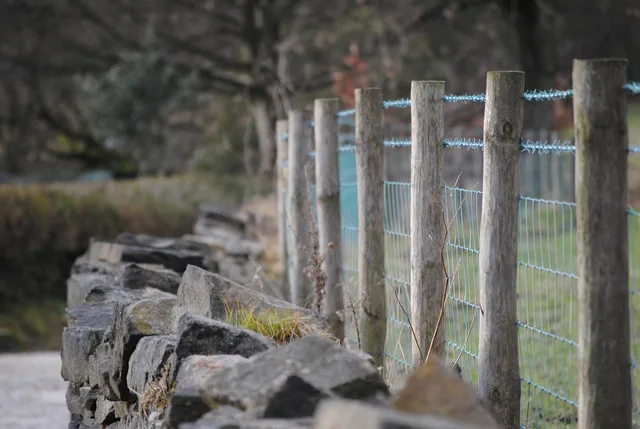 fence, wall, wire, wood, texture, timber, material, wooden, structure, construction, frame, panel, natural, exterior, gray construction, gray frame. How Vancouver fence contractors quote cedar and composite in a wet climate