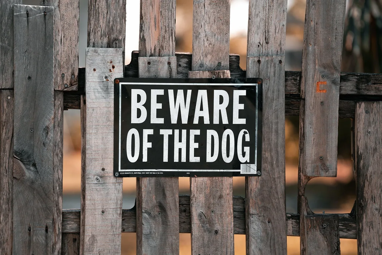 sign, fence, beware of the dog, gate, neighborhood, property, board fence. Which permits a fence contractor business needs before opening in 2027